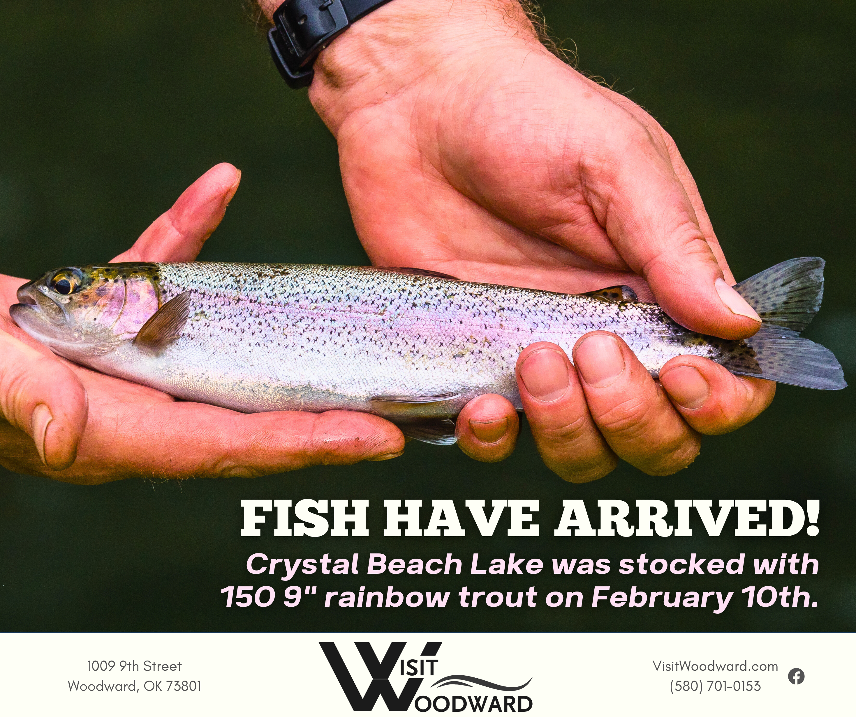 Trout Fishing Crystal Beach Park (1)